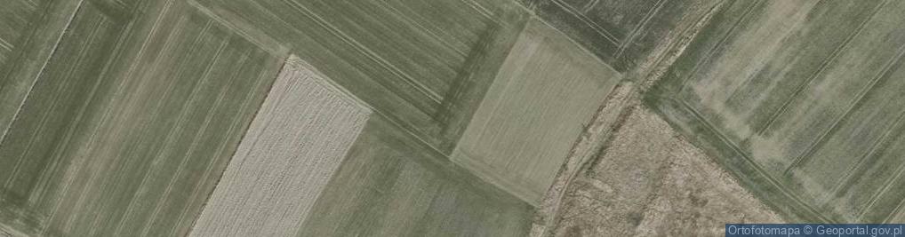 Zdjęcie satelitarne Wierzbowa ul.