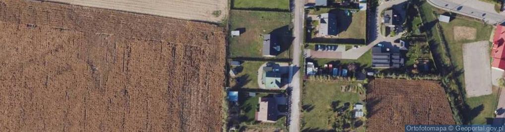 Zdjęcie satelitarne Wierzbowa ul.