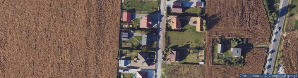 Zdjęcie satelitarne Wierzbowa ul.