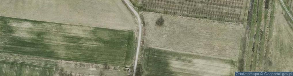 Zdjęcie satelitarne Widokowa ul.