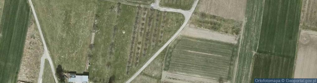 Zdjęcie satelitarne Wiśniowa ul.