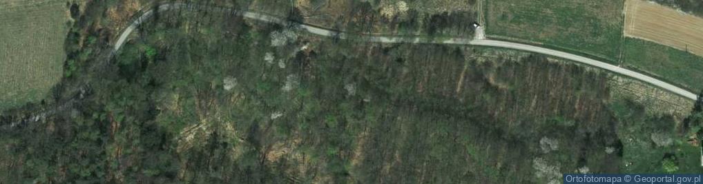 Zdjęcie satelitarne Widokowa ul.