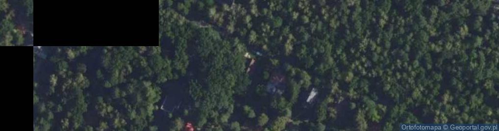 Zdjęcie satelitarne Wiewiórek ul.