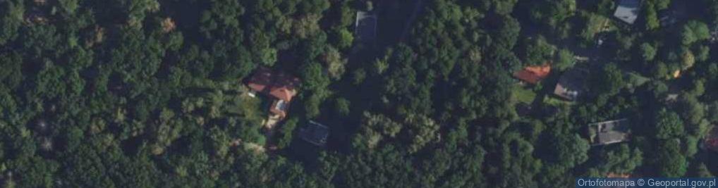 Zdjęcie satelitarne Wilcza ul.