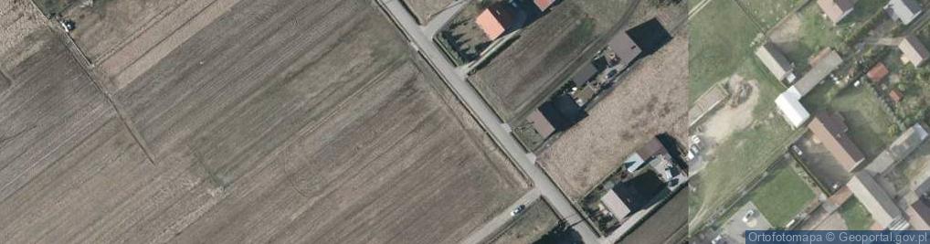 Zdjęcie satelitarne Willowa ul.