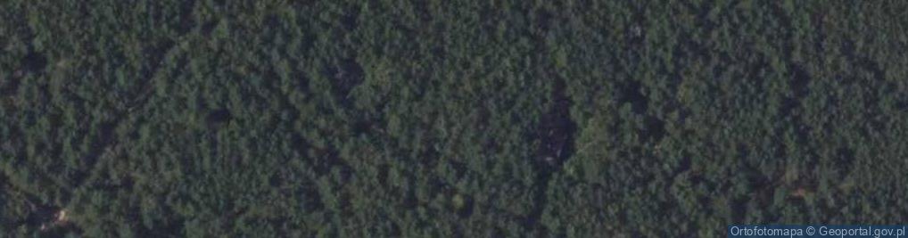 Zdjęcie satelitarne Wiewiórki ul.