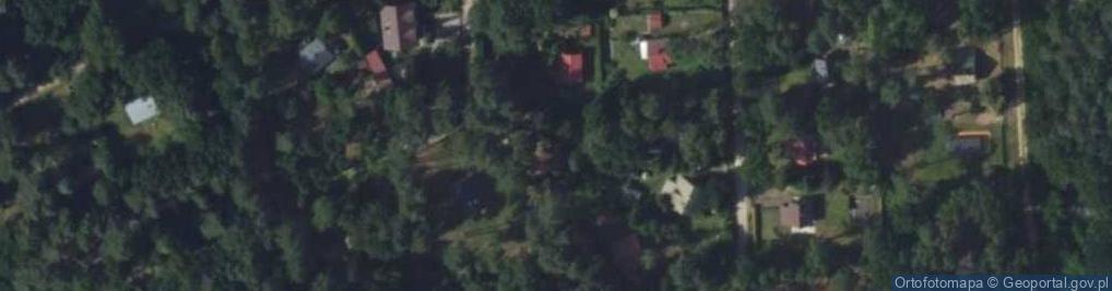 Zdjęcie satelitarne Wierzbowa ul.