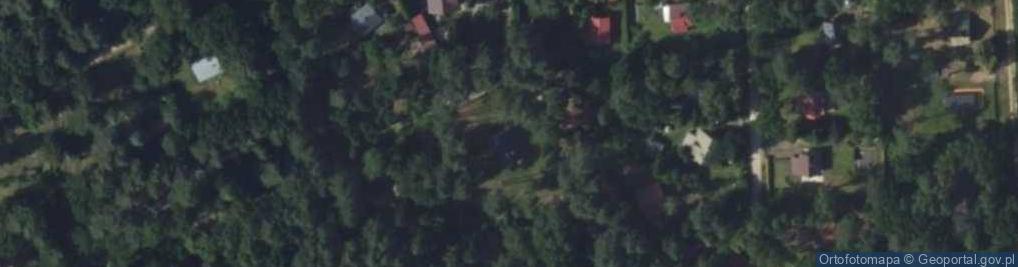 Zdjęcie satelitarne Wierzbowa ul.