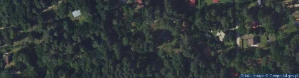 Zdjęcie satelitarne Wierzbowa ul.