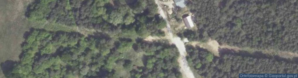 Zdjęcie satelitarne Wierzbowa ul.