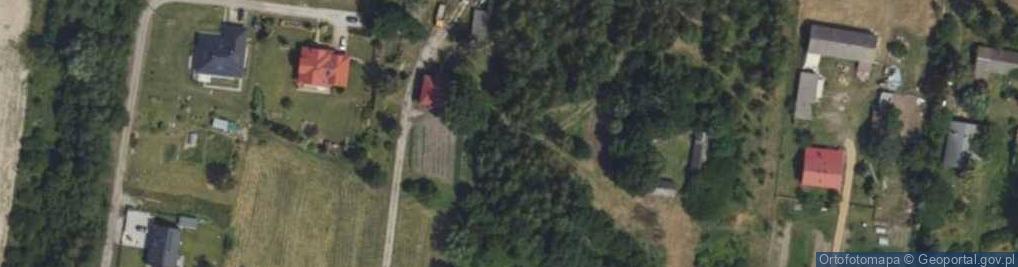 Zdjęcie satelitarne Wierzbowa ul.