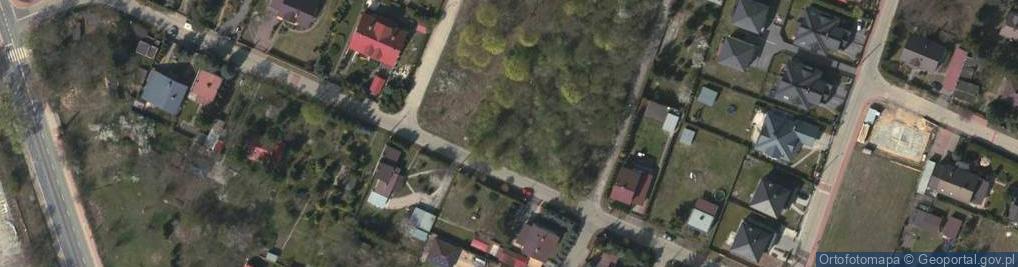 Zdjęcie satelitarne Wierzbowa ul.