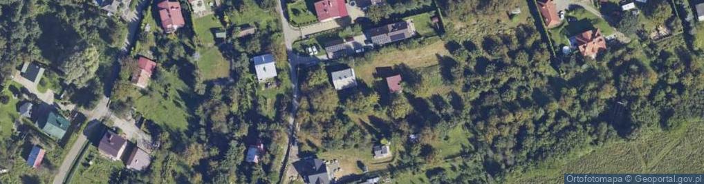 Zdjęcie satelitarne Witoszyńska ul.