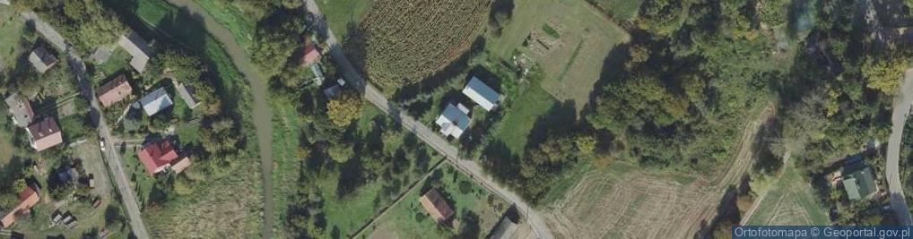 Zdjęcie satelitarne Wierzbowa ul.