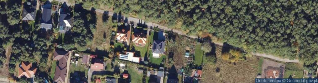 Zdjęcie satelitarne Willowa ul.