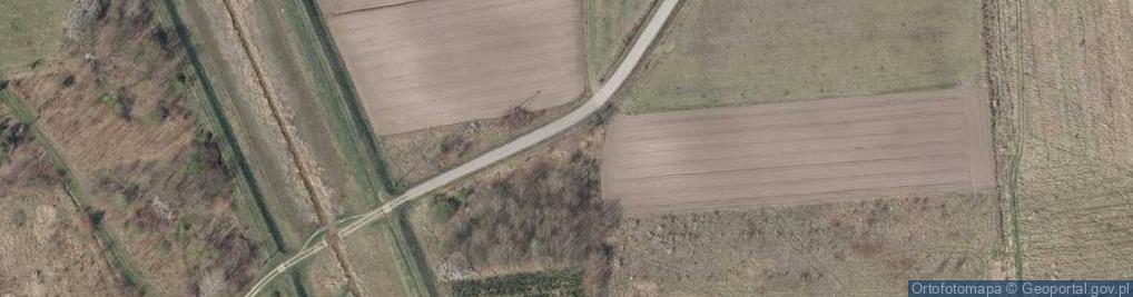 Zdjęcie satelitarne Wierzbowa ul.