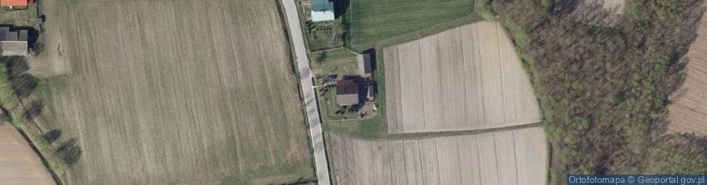 Zdjęcie satelitarne Witosa Wincentego ul.