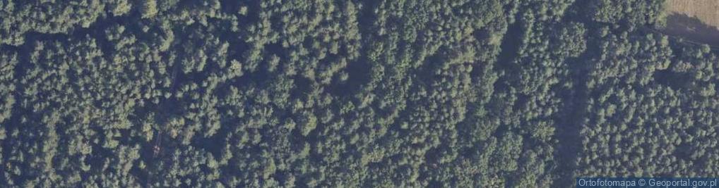 Zdjęcie satelitarne Wiklinowa ul.