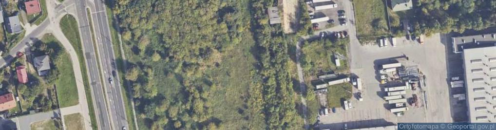 Zdjęcie satelitarne Witosa Wincentego ul.