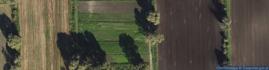 Zdjęcie satelitarne Wierzbowa ul.