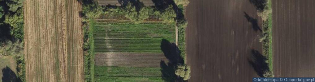 Zdjęcie satelitarne Wierzbowa ul.