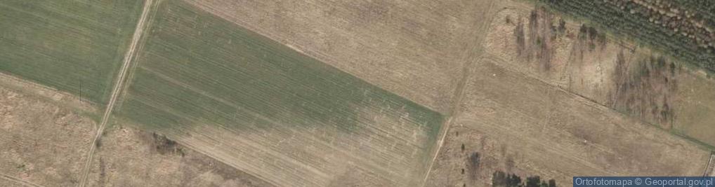 Zdjęcie satelitarne Wiązowa ul.