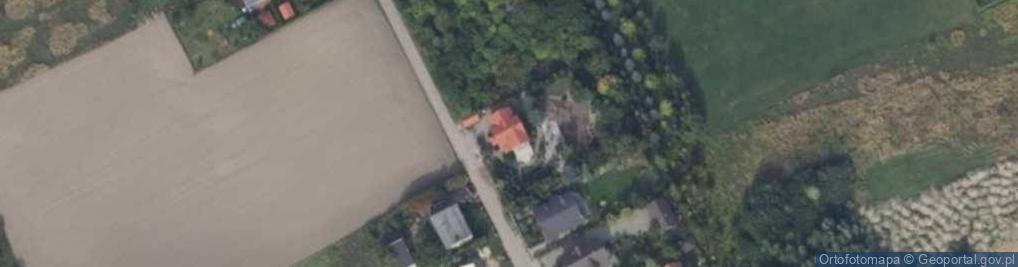 Zdjęcie satelitarne Witkowa ul.