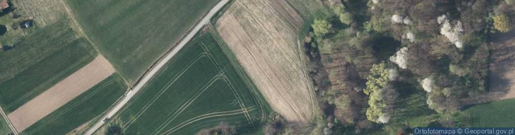 Zdjęcie satelitarne Witanowicka ul.