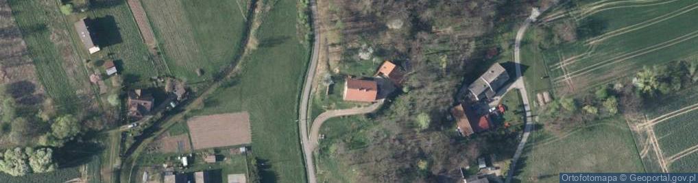 Zdjęcie satelitarne Witanowicka ul.