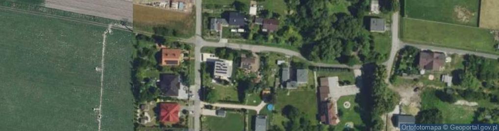 Zdjęcie satelitarne Wierzbowa ul.