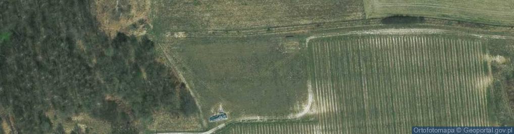 Zdjęcie satelitarne Winnica ul.