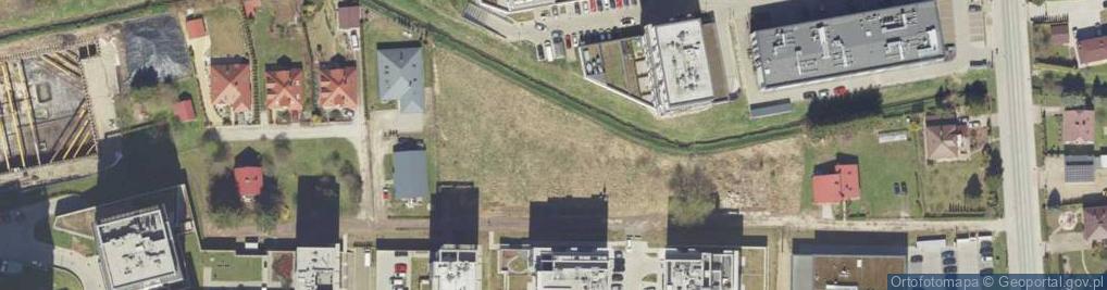 Zdjęcie satelitarne Witolda ul.