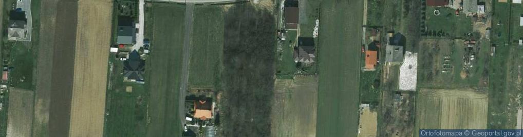 Zdjęcie satelitarne Widokowa ul.