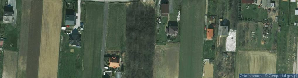 Zdjęcie satelitarne Widokowa ul.