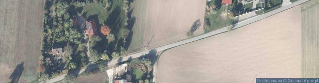 Zdjęcie satelitarne Wierzbowa ul.