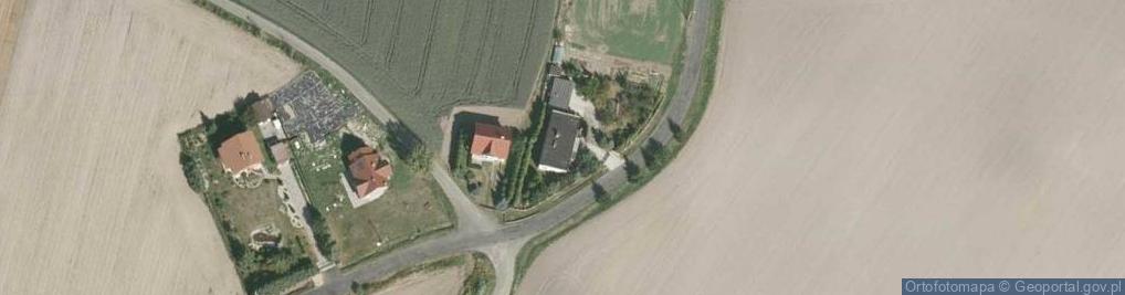 Zdjęcie satelitarne Wierzbowa ul.