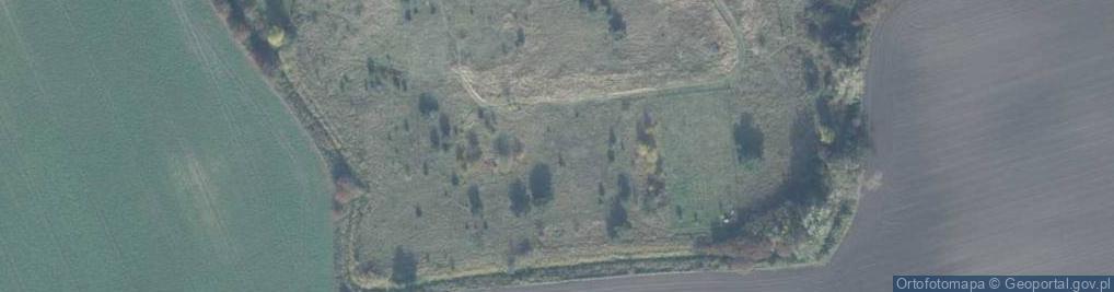 Zdjęcie satelitarne Wilka ul.