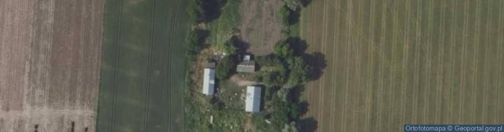 Zdjęcie satelitarne Wierzbowa ul.