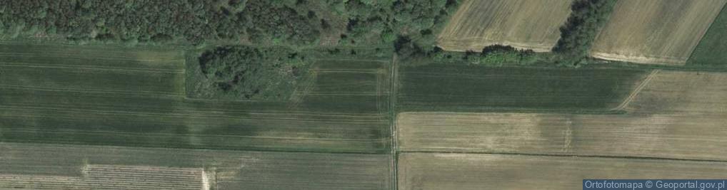 Zdjęcie satelitarne Widokowa ul.