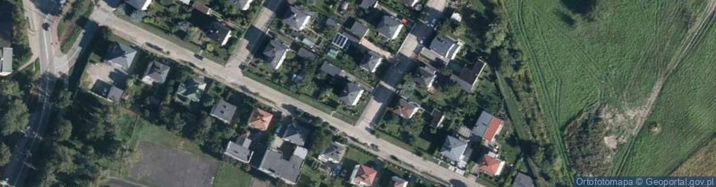 Zdjęcie satelitarne Willowa ul.