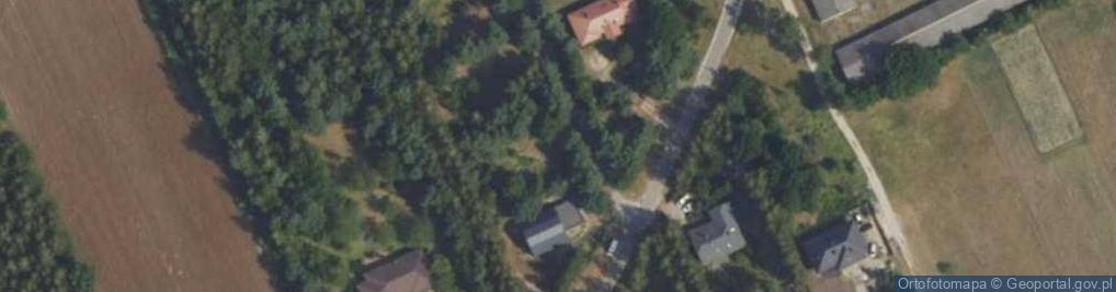 Zdjęcie satelitarne Wierzbowa ul.