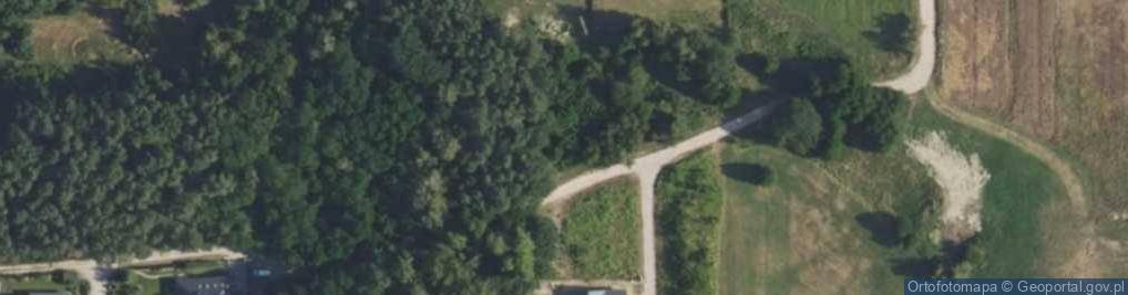 Zdjęcie satelitarne Witosa Wincentego ul.