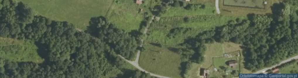 Zdjęcie satelitarne Wierzbowa ul.