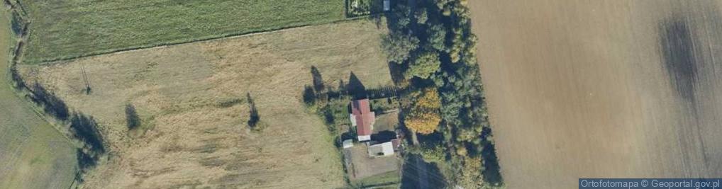 Zdjęcie satelitarne Witosa Wincentego ul.