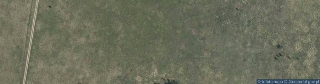 Zdjęcie satelitarne Wierzbowa ul.