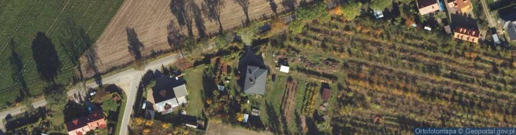 Zdjęcie satelitarne Wilcza ul.