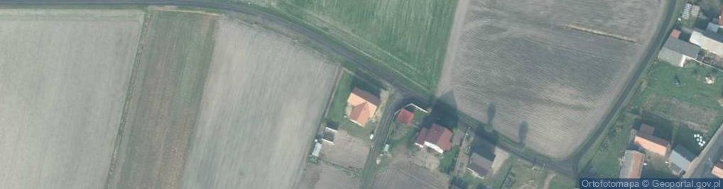 Zdjęcie satelitarne Wierzbowa ul.
