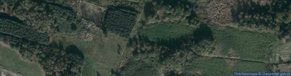 Zdjęcie satelitarne Wiklinowa ul.