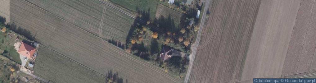 Zdjęcie satelitarne Wierzbowa ul.