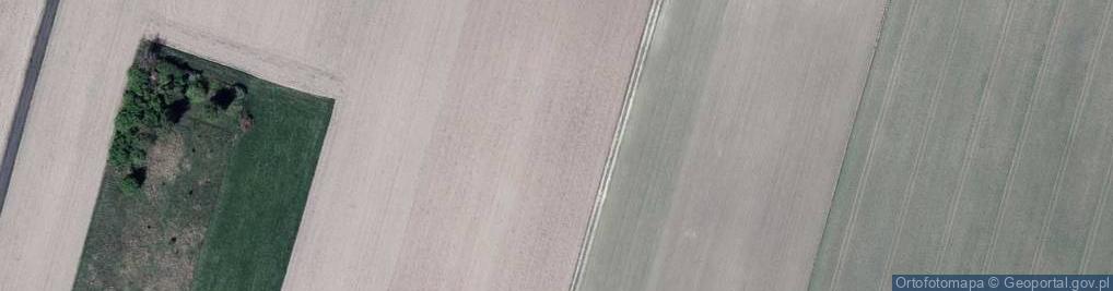 Zdjęcie satelitarne Wierzbowa ul.